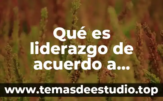 Qué es liderazgo de acuerdo a autores filosofía
