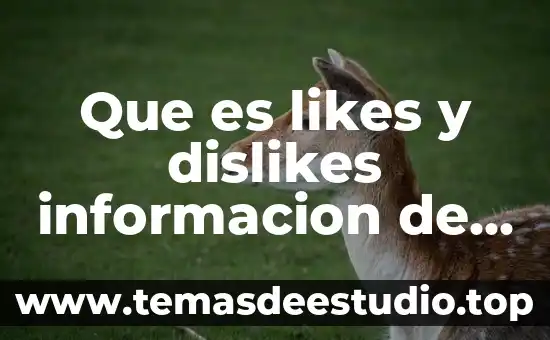 Qué es el APA para información 3 Que es likes y dislikes informacion de cada una