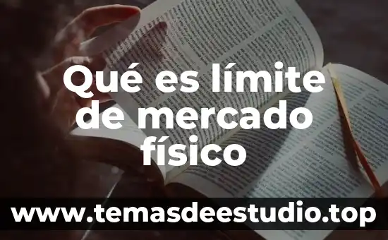 Qué es el mercado mexicano de valores 3 Qué es límite de mercado físico