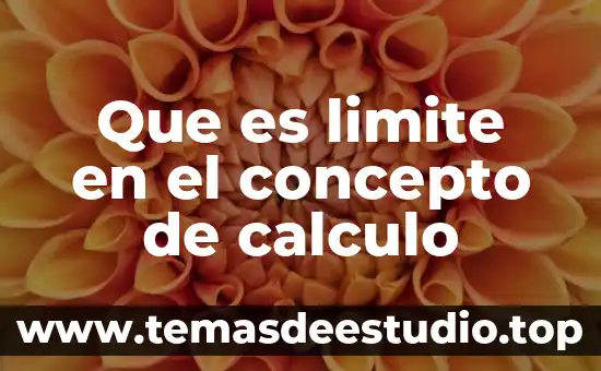 Que es limite en el concepto de calculo