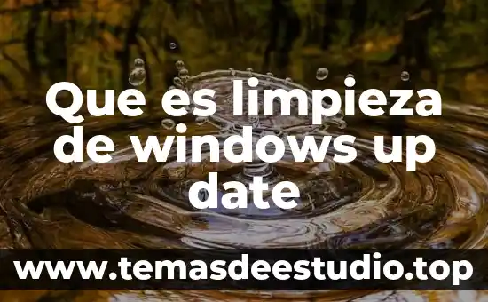 Qué es el número de KB según Windows 3 Que es limpieza de windows up date