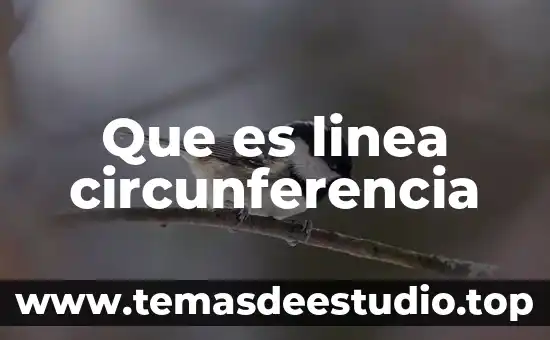 Que es una linea cosmética 7 Que es linea circunferencia