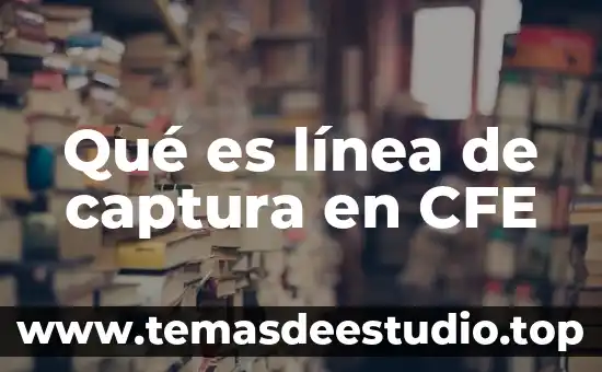 Que es la linea u en plasticidad 4 Qué es línea de captura en CFE