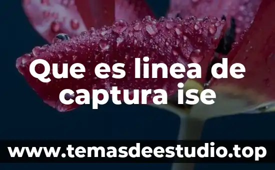 Que es la linea u en plasticidad 6 Que es linea de captura ise
