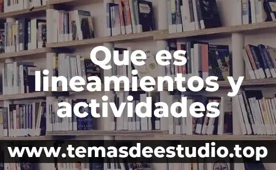 Que es lineamientos y actividades