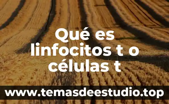 Qué es mieloma de células plasmáticas 6 Qué es linfocitos t o células t
