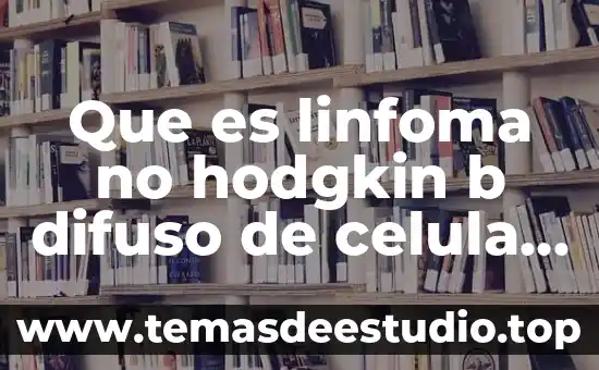 Que es mas grande el auditorio o el palacio 6 Que es linfoma no hodgkin b difuso de celula grande