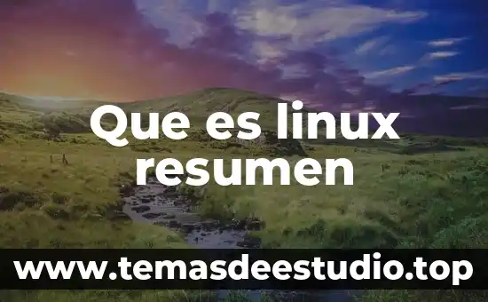 Que es una sociedad de fin ilicito 8 Que es linux resumen