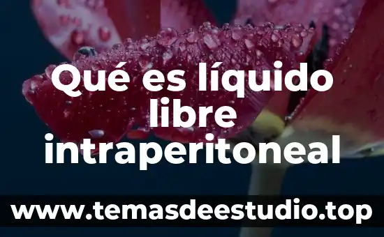 Qué es solido liquido y gases 3 Qué es líquido libre intraperitoneal
