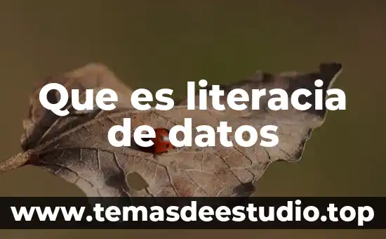 Que es literacia de datos