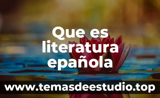 Que es literatura epañola