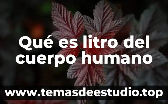 Qué es litro del cuerpo humano