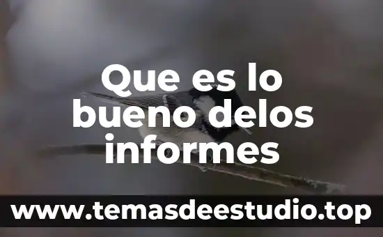 Soful lt para que es bueno 7 Que es lo bueno delos informes