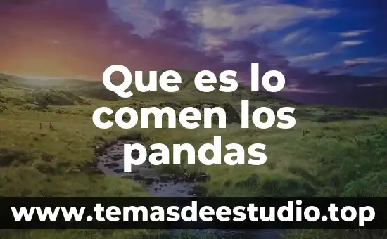 Que es lo que mas comen las cucarachas 6 Que es lo comen los pandas