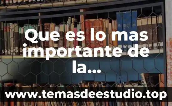 Que es la contaminacion termica definicion 4 Que es lo mas importante de la contaminacion del agua