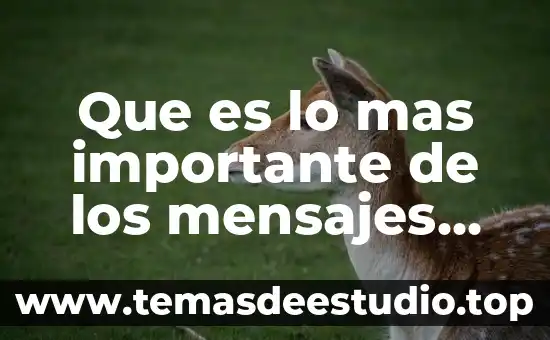 Que es mensajes de una red 3 Que es lo mas importante de los mensajes publicitarios