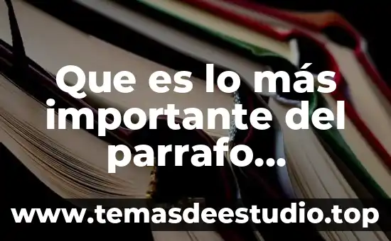 Que es lo más importante del parrafo expositivo