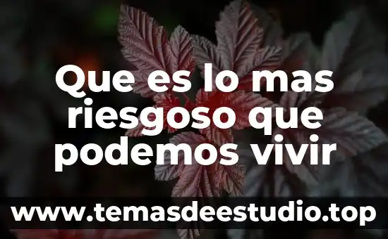 Que es el derecho a vivir en libertad 7 Que es lo mas riesgoso que podemos vivir