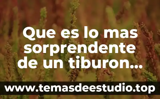 Que es mas facil el ukelele o el charango 8 Que es lo mas sorprendente de un tiburon tiburon tigre
