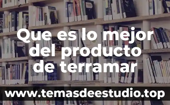 Qué es mejor KDE o GNOME 8 Que es lo mejor del producto de terramar