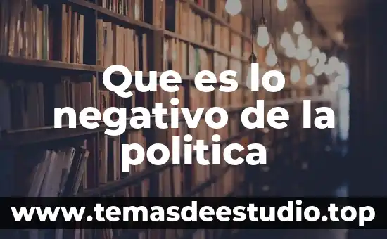 Que es decision politica 3 Que es lo negativo de la politica