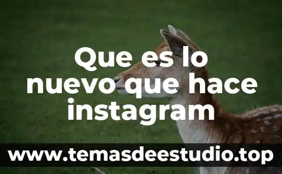 Que es historia clinica en psicologia 5 Que es lo nuevo que hace instagram