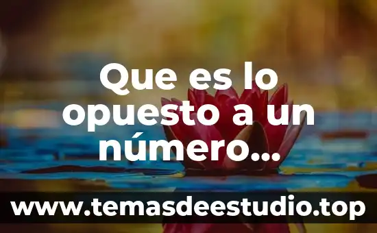 Qué es el número IBAN de Bancomer México 3 Que es lo opuesto a un número cuadrado