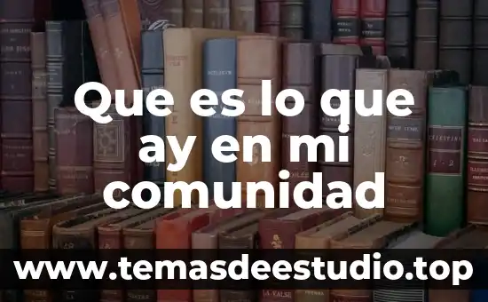 Que es lo que ay en mi comunidad