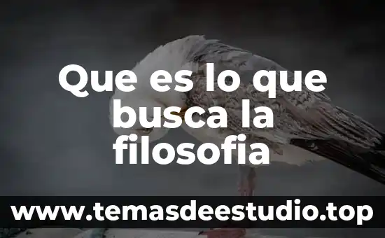 Que es lo que busca la filosofia