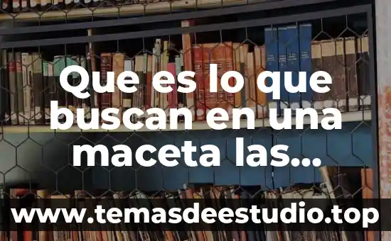 Que es la direccion de personas 4 Que es lo que buscan en una maceta las personas