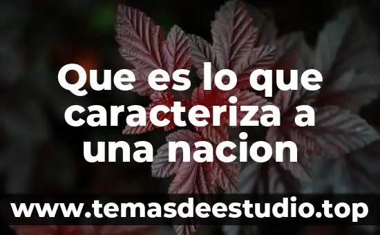Que es lo que caracteriza a una nacion