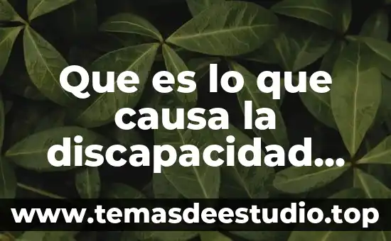 Que es lo que causa la discapacidad motora