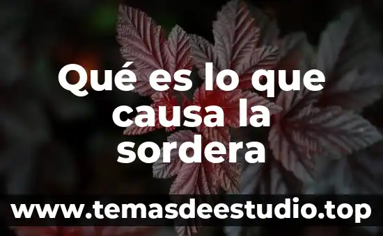 Qué es lo que causa la sordera