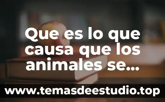 Animales en peligro que es causas y consecuencias 6 Que es lo que causa que los animales se extingan