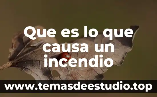 Que es un mapa mental en estructura y contenido 6 Que es lo que causa un incendio