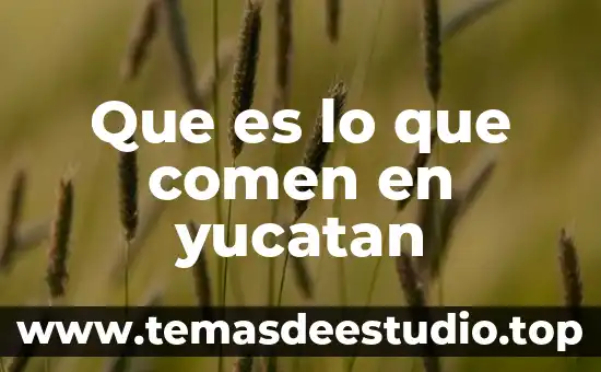 Que es lo que mas comen las cucarachas 3 Que es lo que comen en yucatan
