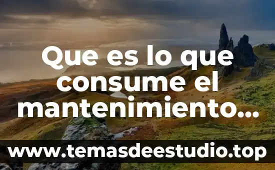 Que es lo que la gente mas consume 2017 3 Que es lo que consume el mantenimiento de software