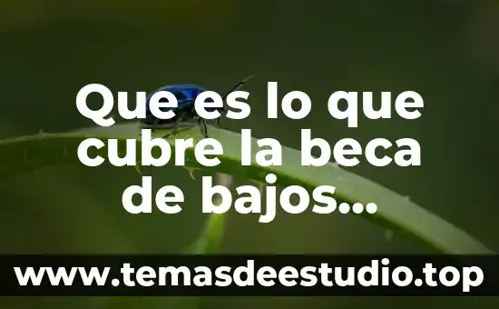 Que es compartir recursos conectados al servidor 5 Que es lo que cubre la beca de bajos recursos