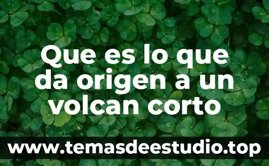 Que es un sistema informaticode leonardo da vinci 3 Que es lo que da origen a un volcan corto
