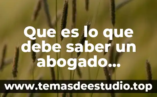 Que es lo que debe saber un abogado laboralista