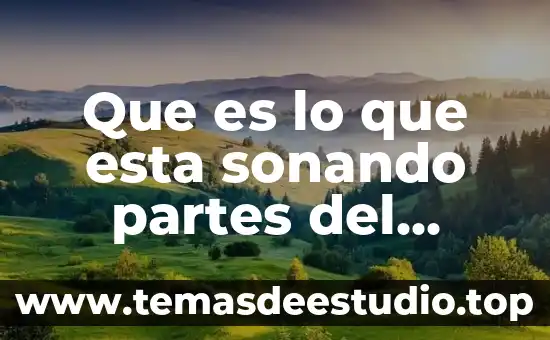 Sabes que es verdad 7 Que es lo que esta sonando partes del cuerpo dibujo