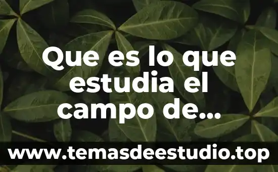 Que es el desarrollo back end y front end 8 Que es lo que estudia el campo de desarrollo humano