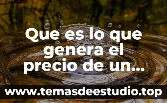 Que es el private_key.pepk que genera android studio 8 Que es lo que genera el precio de un producto