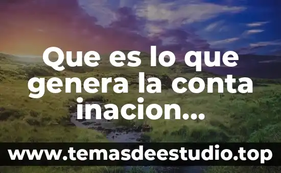 Que es el private_key.pepk que genera android studio 4 Que es lo que genera la conta inacion graficos
