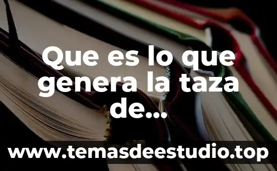 Que es el private_key.pepk que genera android studio 6 Que es lo que genera la taza de despolarizacion
