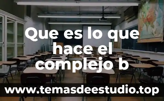 Que es historia y a través de que se hace 3 Que es lo que hace el complejo b