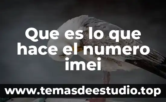 Que es historia y a través de que se hace 8 Que es lo que hace el numero imei