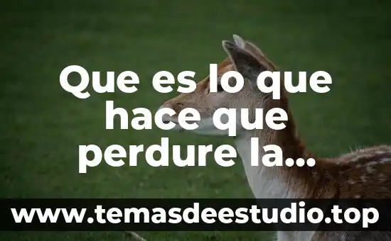 Arte de la amistad que es 4 Que es lo que hace que perdure la amistad