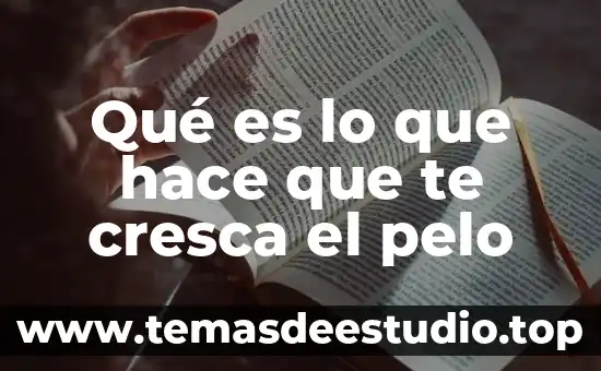 Que es hace inventario 5 Qué es lo que hace que te cresca el pelo