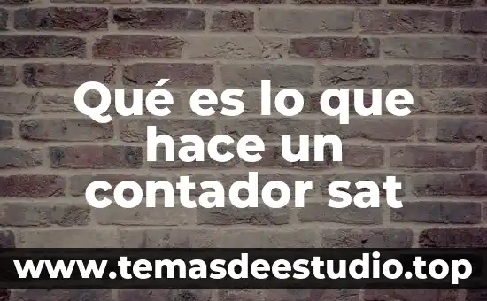 Que es hace inventario 6 Qué es lo que hace un contador sat